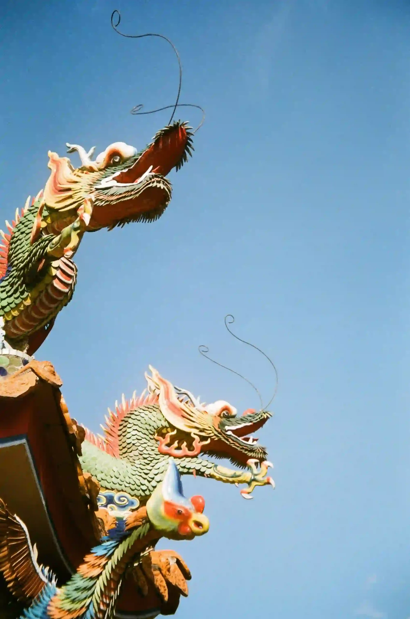 中華文化中的龍：9種型態與顏色開運秘訣！