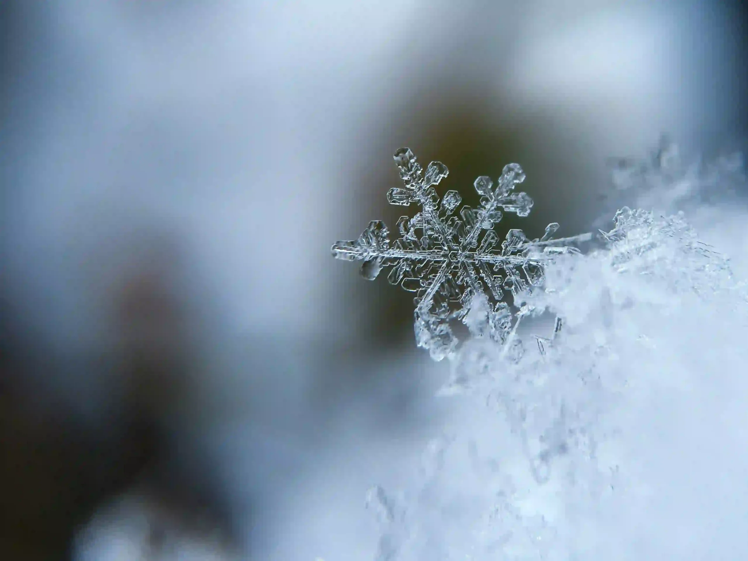 夢到下雪代表什麼？雪在夢中的吉凶與意涵